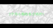 2个月小狗吃多少钙片
