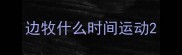 边牧什么时间运动