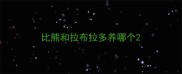 比熊和拉布拉多养哪个