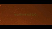 哈士奇拉布拉多金毛