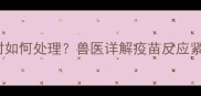小狗打疫苗后呕吐24-72小时如何处理兽医详解疫苗反应紧急处理指南与科学护理方法