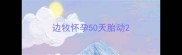 边牧怀孕50天胎动