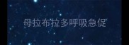 母拉布拉多呼吸急促