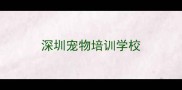 深圳宠物培训学校