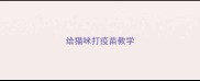 给猫咪打疫苗教学