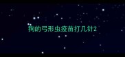 狗的弓形虫疫苗打几针