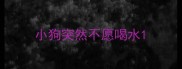 小狗突然不愿喝水