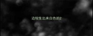 边牧生出来白色的