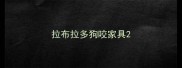 拉布拉多狗咬家具