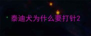 泰迪犬为什么要打针