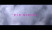 哈士奇不掉毛怎么回事