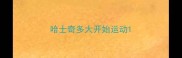哈士奇多大开始运动