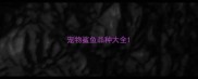 宠物鲨鱼品种大全