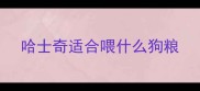 哈士奇适合喂什么狗粮