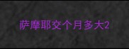 萨摩耶交个月多大