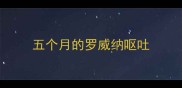 五个月的罗威纳呕吐