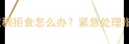 拉布拉多鼻涕浓稠拒食怎么办紧急处理指南及预防措施