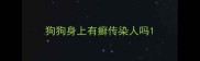 狗狗身上有癣传染人吗