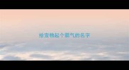 给宠物起个霸气的名字
