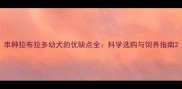 串种拉布拉多幼犬的优缺点全科学选购与饲养指南