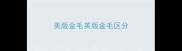 美版金毛英版金毛区分