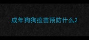 成年狗狗疫苗预防什么