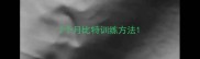 2个月比特训练方法