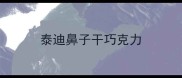 泰迪鼻子干巧克力
