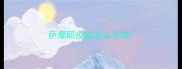 萨摩耶疫苗怎么存放