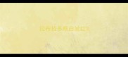 拉布拉多眼白发红