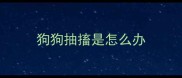 狗狗抽搐是怎么办