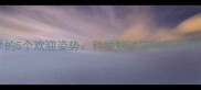 猫咪回家必学的5个欢迎姿势科学解读猫咪行为与情感表达指南