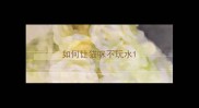 如何让猫咪不玩水