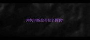 如何训练拉布拉多拒食