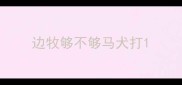 边牧够不够马犬打