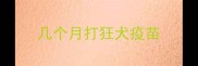 几个月打狂犬疫苗