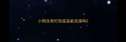 小狗没有打完疫苗能洗澡吗