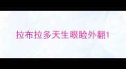 拉布拉多天生眼睑外翻