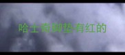 哈士奇脚垫有红的
