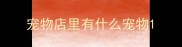 宠物店里有什么宠物