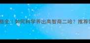 哈士奇性格全如何科学养出高智商二哈推荐饲养指南