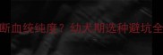 博美犬2个月大如何判断血统纯度幼犬期选种避坑全攻略附鉴别要点
