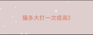 猫多大打一次疫苗