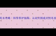 金毛变毛长攻略科学养护指南从幼犬到成犬的毛发管理全