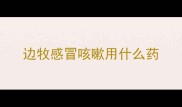 边牧感冒咳嗽用什么药