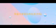 导盲犬都是拉布拉多犬吗