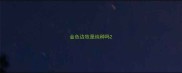 金色边牧是纯种吗