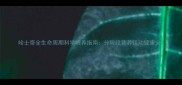 哈士奇全生命周期科学喂养指南分阶段营养运动健康全