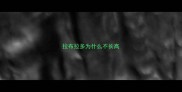 拉布拉多为什么不长高