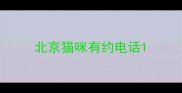 北京猫咪有约电话